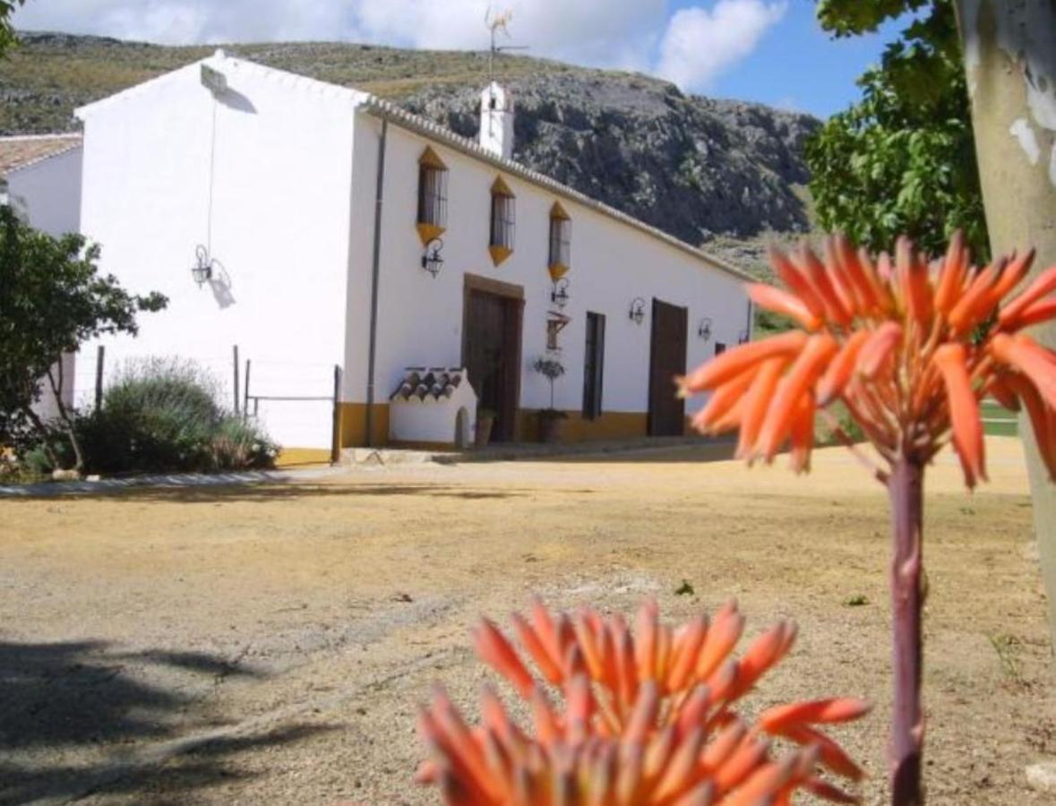 Complejo Cortijo Rural El Puntal Villa Teba Exterior photo
